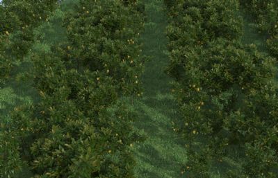 柠檬果园,柠檬产业园区写实场景3D模型,需要使用插件Forest Pro6.1.2