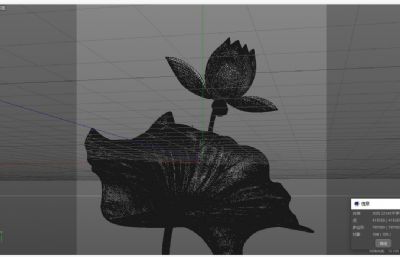 含苞待放的荷花,荷花莲花盛开动画C4D模型