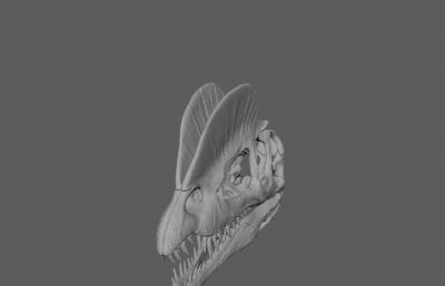 双龙头骨,骨架,恐龙化石骨骼3D模型,OBJ格式,19个分离的OBJ文件