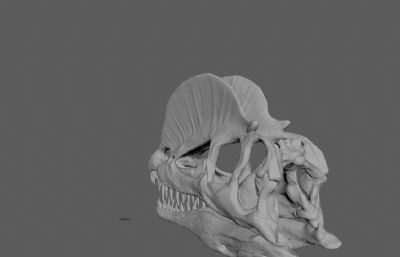 双龙头骨,骨架,恐龙化石骨骼3D模型,OBJ格式,19个分离的OBJ文件