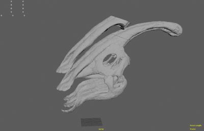 副栉龙头骨,恐龙骨骼化石模型,MB,STL,OBJ等格式(网盘下载)