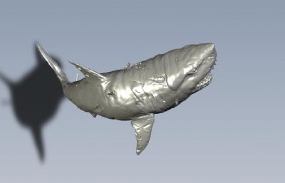 伤痕累累的大鲨鱼3D打印模型