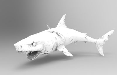 伤痕累累的大鲨鱼3D打印模型