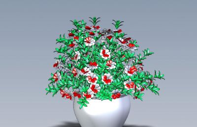 红花小盆栽模型sldprt,IGS格式