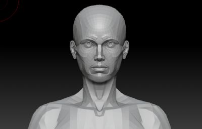 标准人头骨,女人体上半身细模型