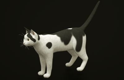 卡通黑白小花猫,写实猫C4D模型