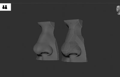 鼻子,标准石膏五官模型,提供ztl,c4d19文件