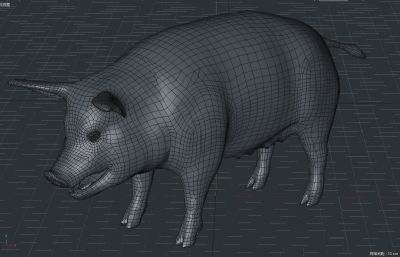 写实香猪,家养大母猪C4D模型