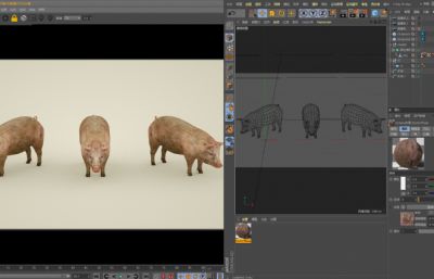 满身泥泞的写实猪,家猪C4D模型