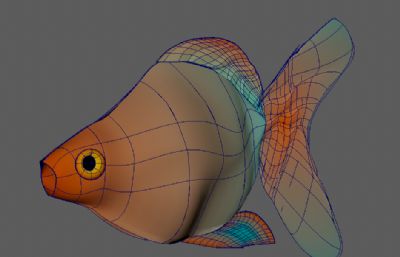 金鱼maya模型练习作品