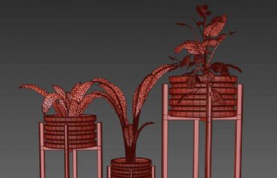 罗兰花,天堂鸟,龟背竹盆栽绿植组合3D模型