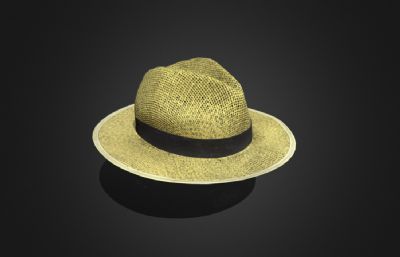 帽子,草帽,罗唐帽3DMAYA模型,已塌陷