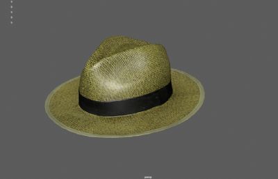 帽子,草帽,罗唐帽3DMAYA模型,已塌陷