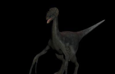 暴龙,似鸟龙,鳄龙,翼龙,恐爪龙组合3D模型