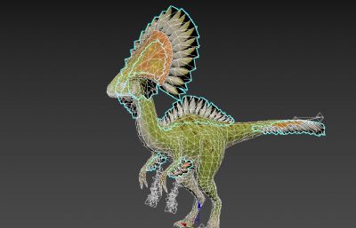 Camabirdsaurus冠龙FBX模型