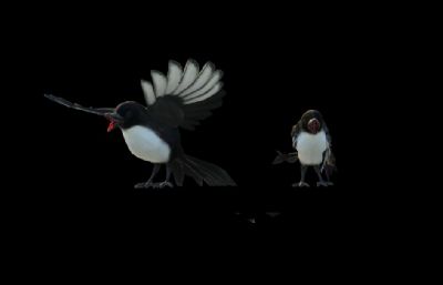 两只小鸟飞到古建围栏栏杆上动画场景3D模型