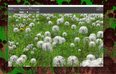 满地野花蒲公英 自然生态 花草景观场景3D模型