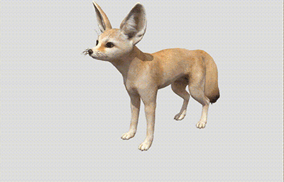 可爱写实小狐狸3D模型