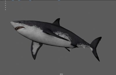 巨齿鲨,大鲨鱼,大白鲨,虎皮鲨海洋生物3dmaya模型,塌陷文件