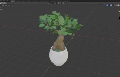发财树盆栽3D模型
