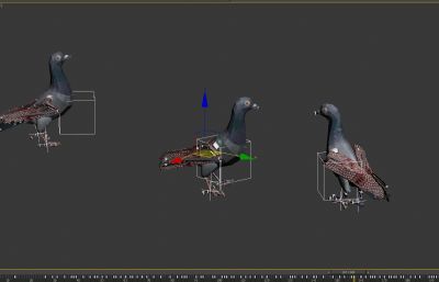 鸽子飞行觅食,进食动画3D模型