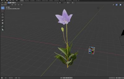 包袱花,铃铛花,僧帽花写实3D模型
