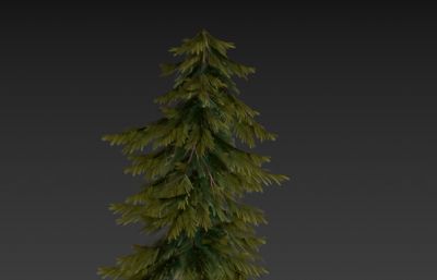低模松树3D模型