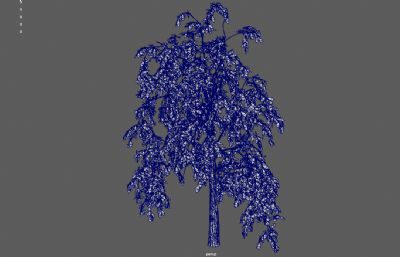 大树,白杨树,常青树3dmaya模型塌陷文件