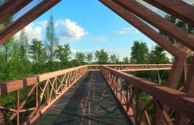 双洎河湿地公园栅栏木桥,空中木桥走廊3D模型