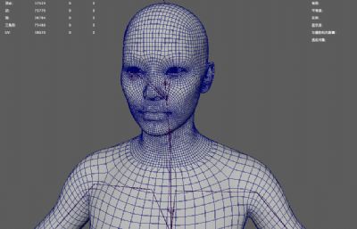 写实妹子人体maya基础模型,带绑定