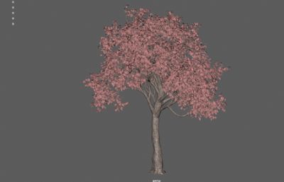 粉红色的树 游戏树木 景观树