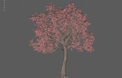 粉红色的树 游戏树木 景观树