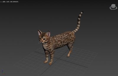虎斑猫写实模型