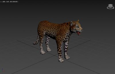 写实豹子max,fbx模型