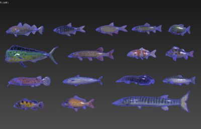 36种鱼类合集,每种鱼有5套动画(进食,死亡,游泳,快游,漫游),带绑定