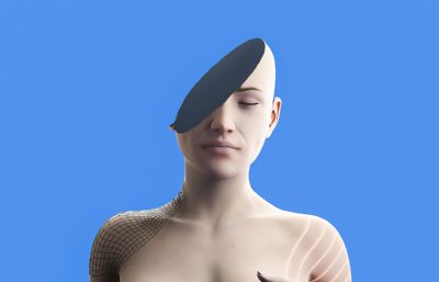 头部切面女人体C4D模型