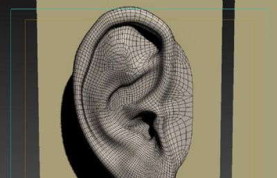 写实人耳耳朵3dmax模型