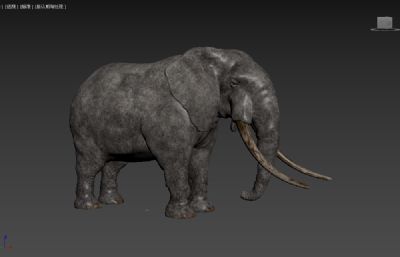 大象3dmax模型