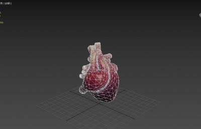 卡通人类心脏3dmax模型
