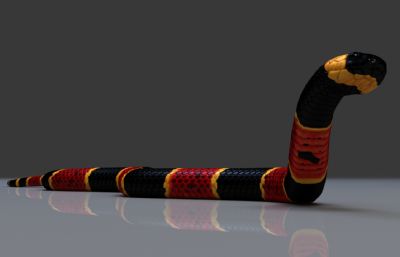 东部珊瑚蛇写实3dmax模型,有绑定,25套姿态和动画