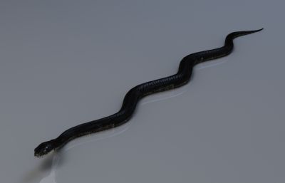 PBR黑脊蛇max,fbx模型,有绑定,25套姿态和动画