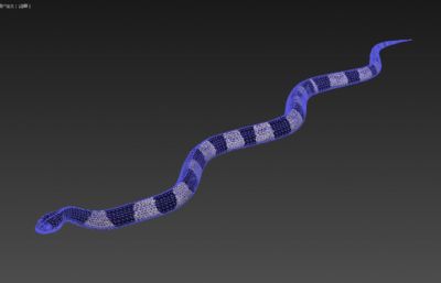 PBR写实马来环蛇,有绑定,25套姿态和动画