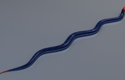 写实蓝长腺珊瑚蛇,有绑定,25套姿态和动画