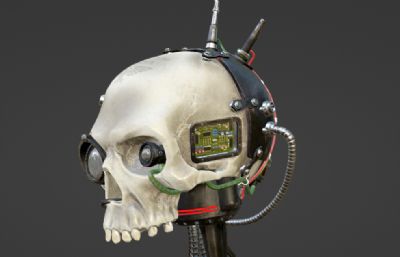 骷髅机器人头部精细模型