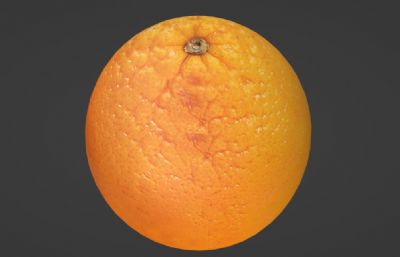 快干瘪的橙子写实模型