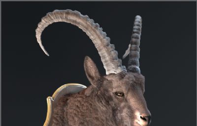山羊头部装饰挂件3dmax模型