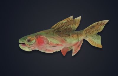 神奇的鱼,怪鱼3dmax模型