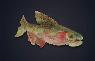 神奇的鱼,怪鱼3dmax模型