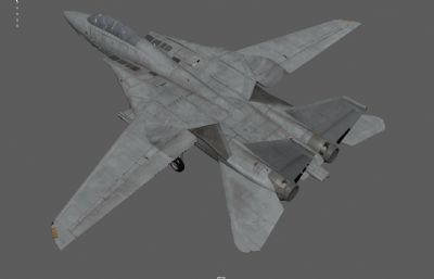 F-14雄猫战斗机,折叠翼战机,超音速战斗机