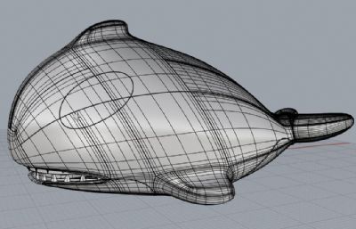 卡通虎鲸rhino模型